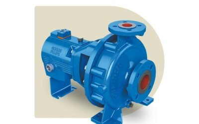 Bomba centrífuga Goulds ANSI 3196
