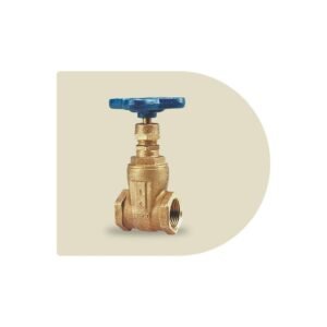 Válvula de compuerta