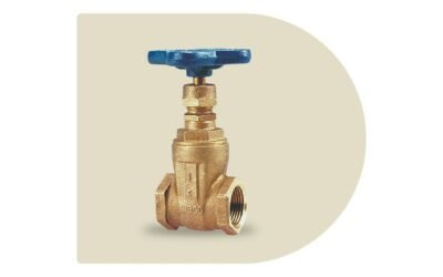 Válvula de compuerta