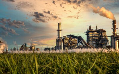 Eficiencia energética con vapor: Claves para optimizar el consumo en la industria de procesos