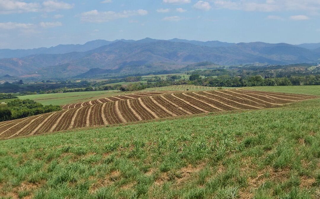 La Huella de Carbono del Azúcar de El Salvador