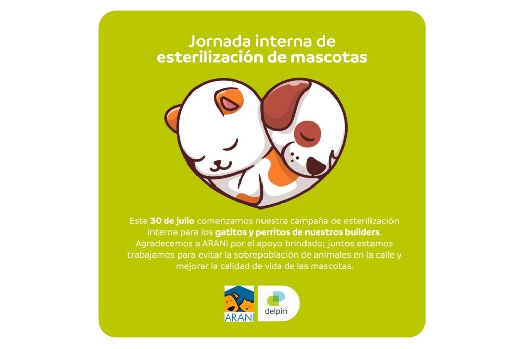 Campaña de esterilización de gatos y perros en conjunto con ARANI
