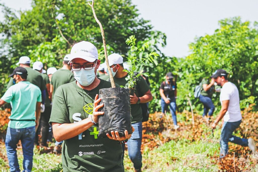 Proyecto Recolecta – Reforesta