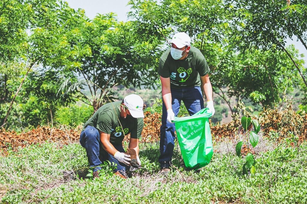 Proyecto Recolecta – Reforesta