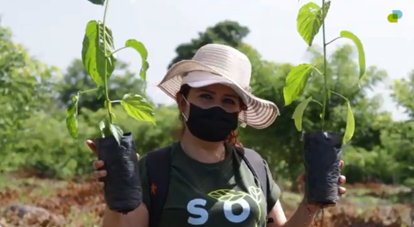 Proyecto Recolecta- Reforesta 2021